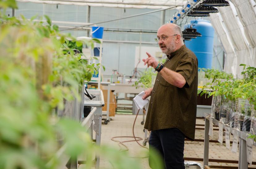 Dopis z Botanického ústavu – obrázek 1